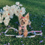 Dog Leash - Magnolia