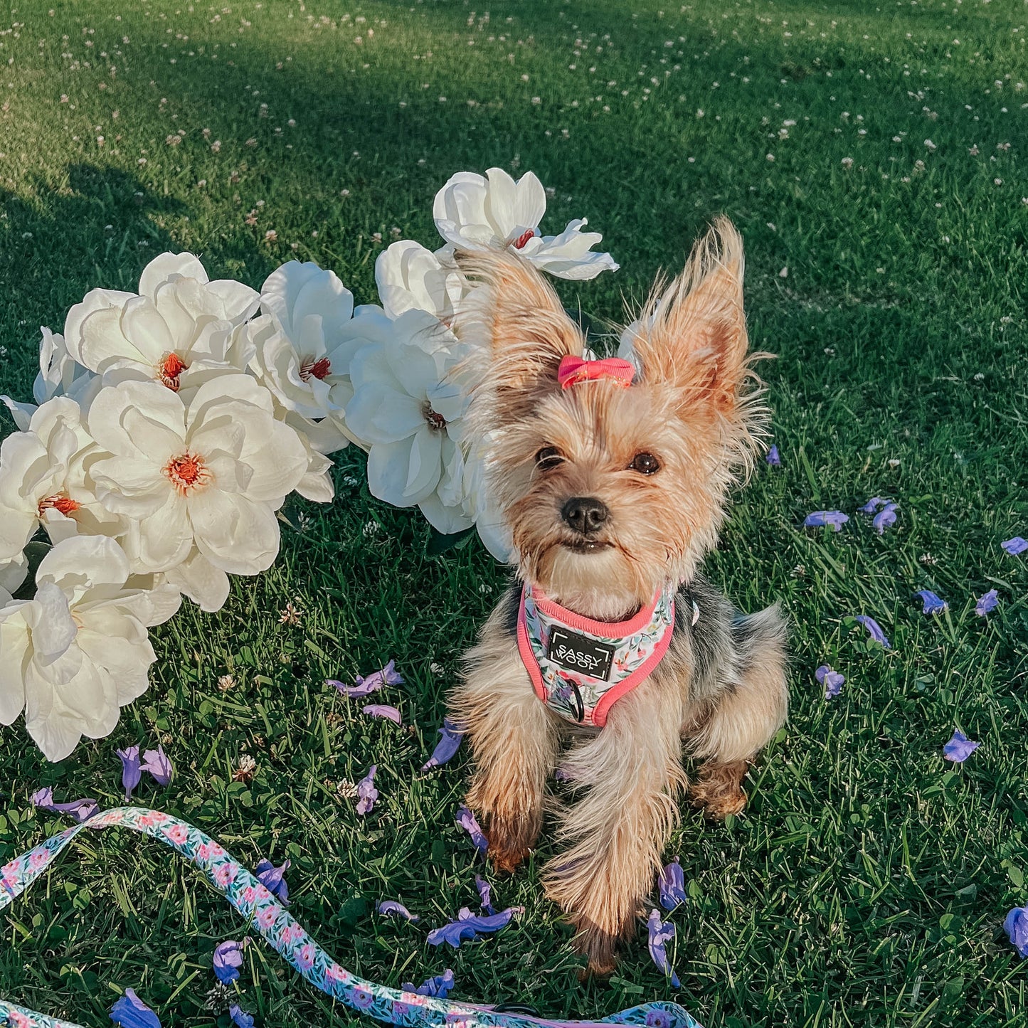 Dog Adjustable Harness - Magnolia