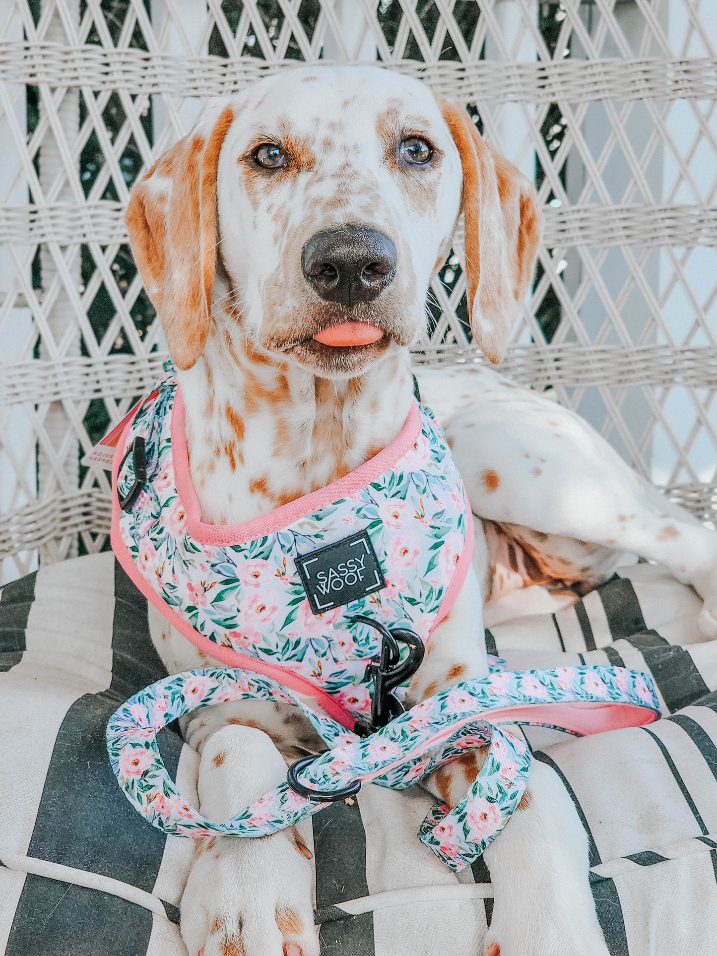 Dog Adjustable Harness - Magnolia