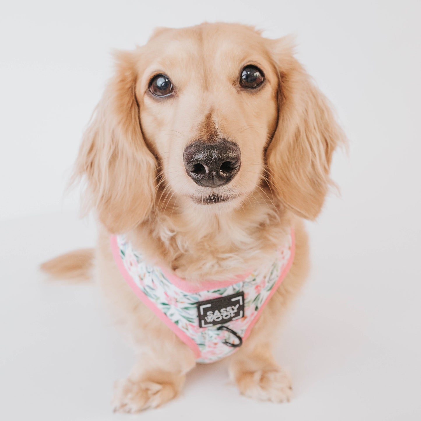 Dog Adjustable Harness - Magnolia