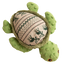 Holly the Turtle