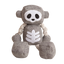 Skel-O-Bot