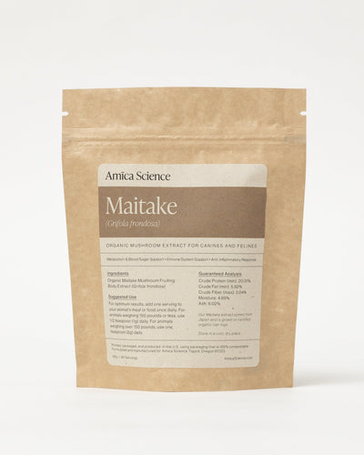 Maitake