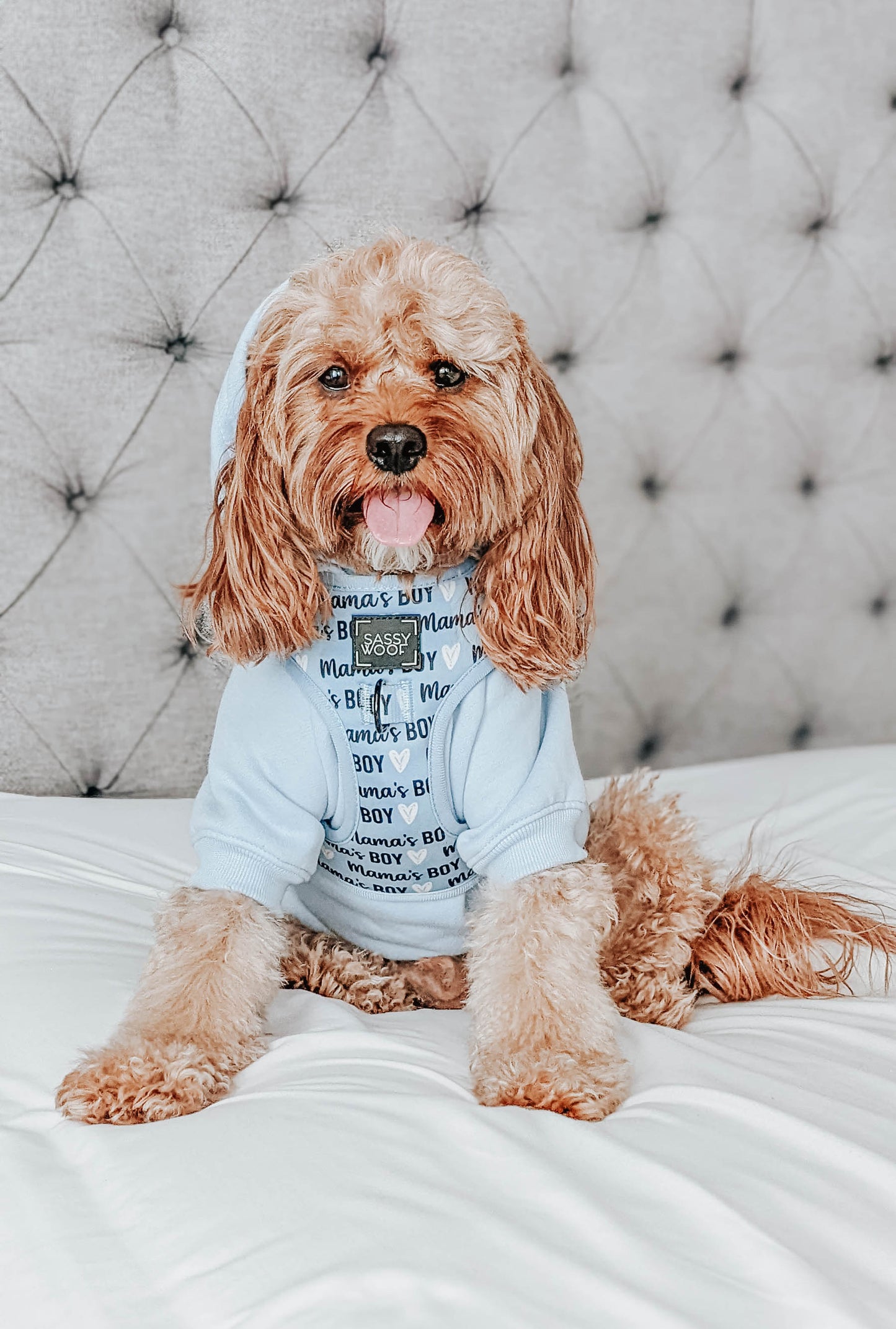 Dog Adjustable Harness - Mama's Boy