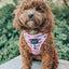 Dog Adjustable Harness - Mama's Girl