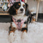 Dog Adjustable Harness - Mama's Girl