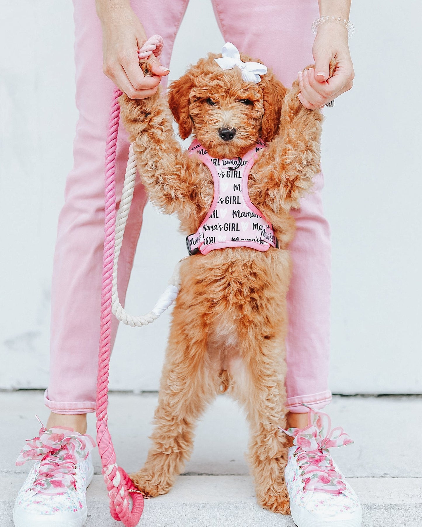 Dog Adjustable Harness - Mama's Girl