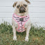 Dog Adjustable Harness - Mama's Girl
