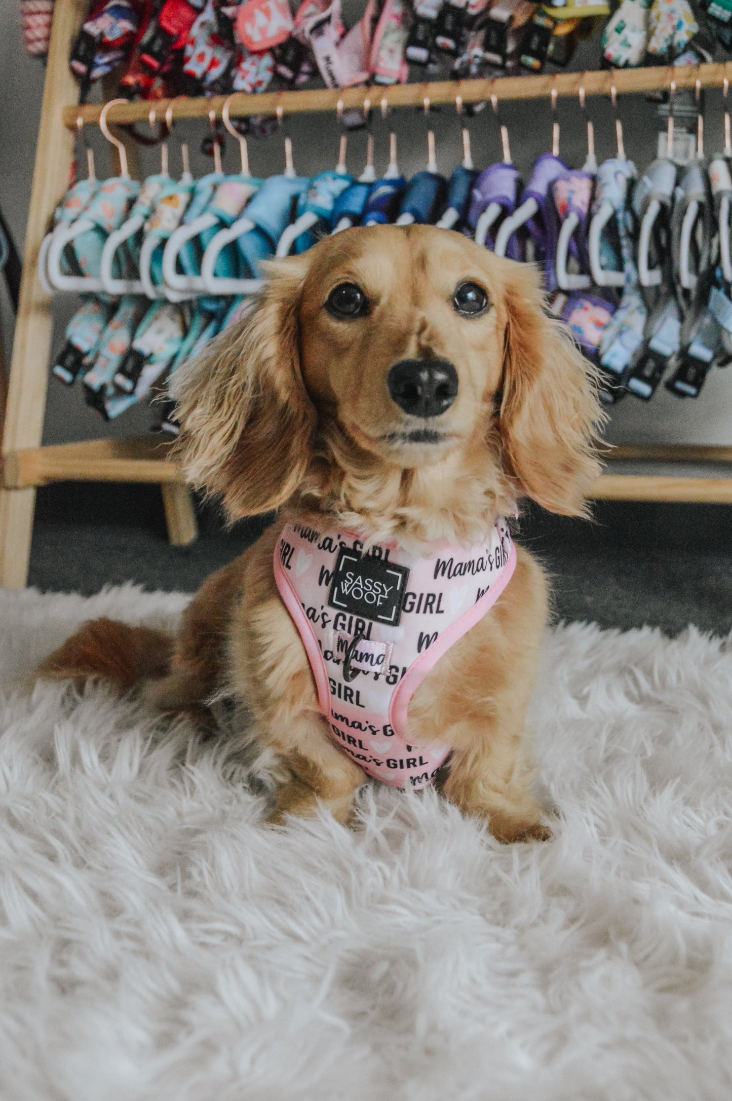 Dog Adjustable Harness - Mama's Girl