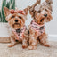 Dog Adjustable Harness - Mama's Girl