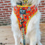 Dog Adjustable Harness - Wonder Woman™