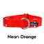 5/8″ and 1″ Neon Orange Nylon Dog Collar