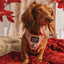 Dog Adjustable Harness - Harry Potter™ Marauder's Map™
