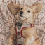 Dog Adjustable Harness - Harry Potter™ Marauder's Map™