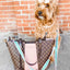 Le Classic Bag Strap