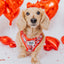 Dog Adjustable Harness - Hello Kitty® Red Classic