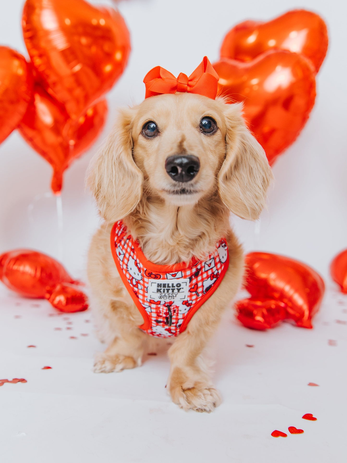 Dog Adjustable Harness - Hello Kitty® Red Classic