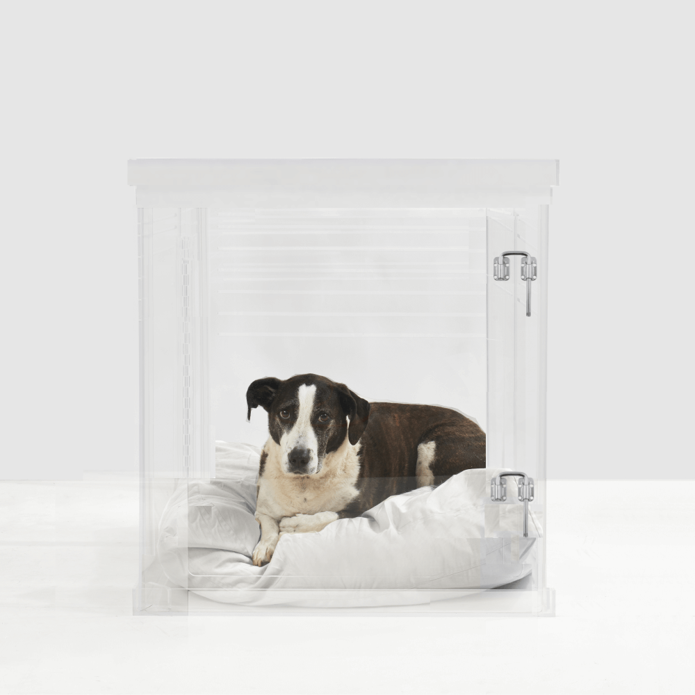 Medium Crate (Silver Latch)