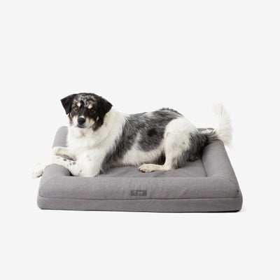 Orthopedic Large Dog Bed