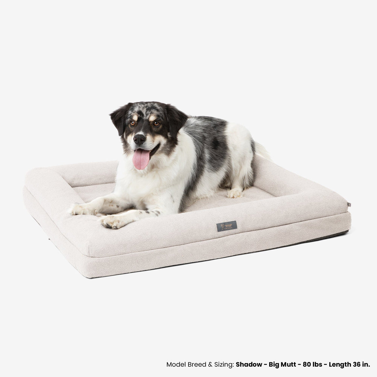 Orthopedic Large Dog Bed