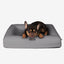 Orthopedic Medium Dog Bed