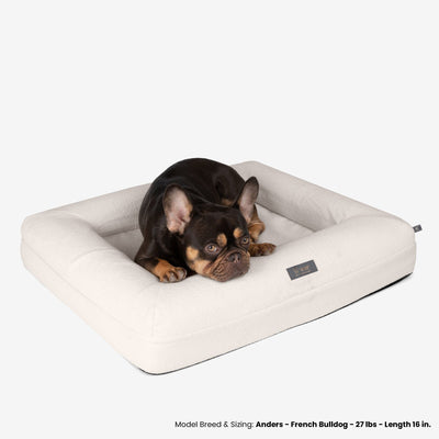 Orthopedic Medium Dog Bed