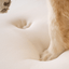 PupRug by Paw.com® Faux Fur Orthopedic Dog Bed - Curve Charcoal Grey