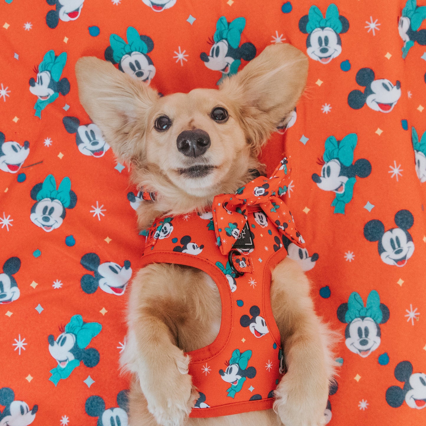 Dog Adjustable Harness - Disney Holiday Collection