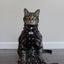 Cat Leash - STAR WARS™ The Dark Side