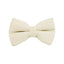 Milky White Velvet Set