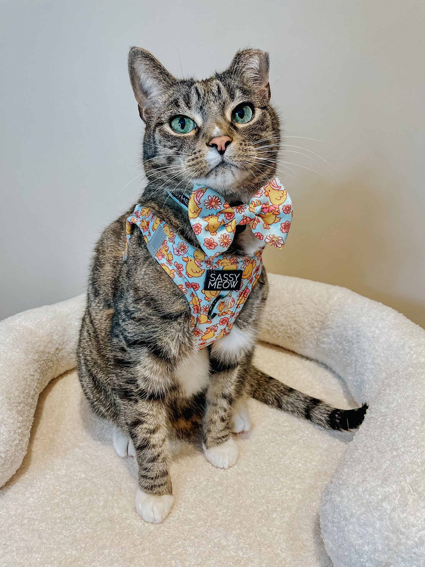 Cat Collar - Good Duck, Babe!