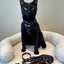 Cat Leash - STAR WARS™ The Dark Side