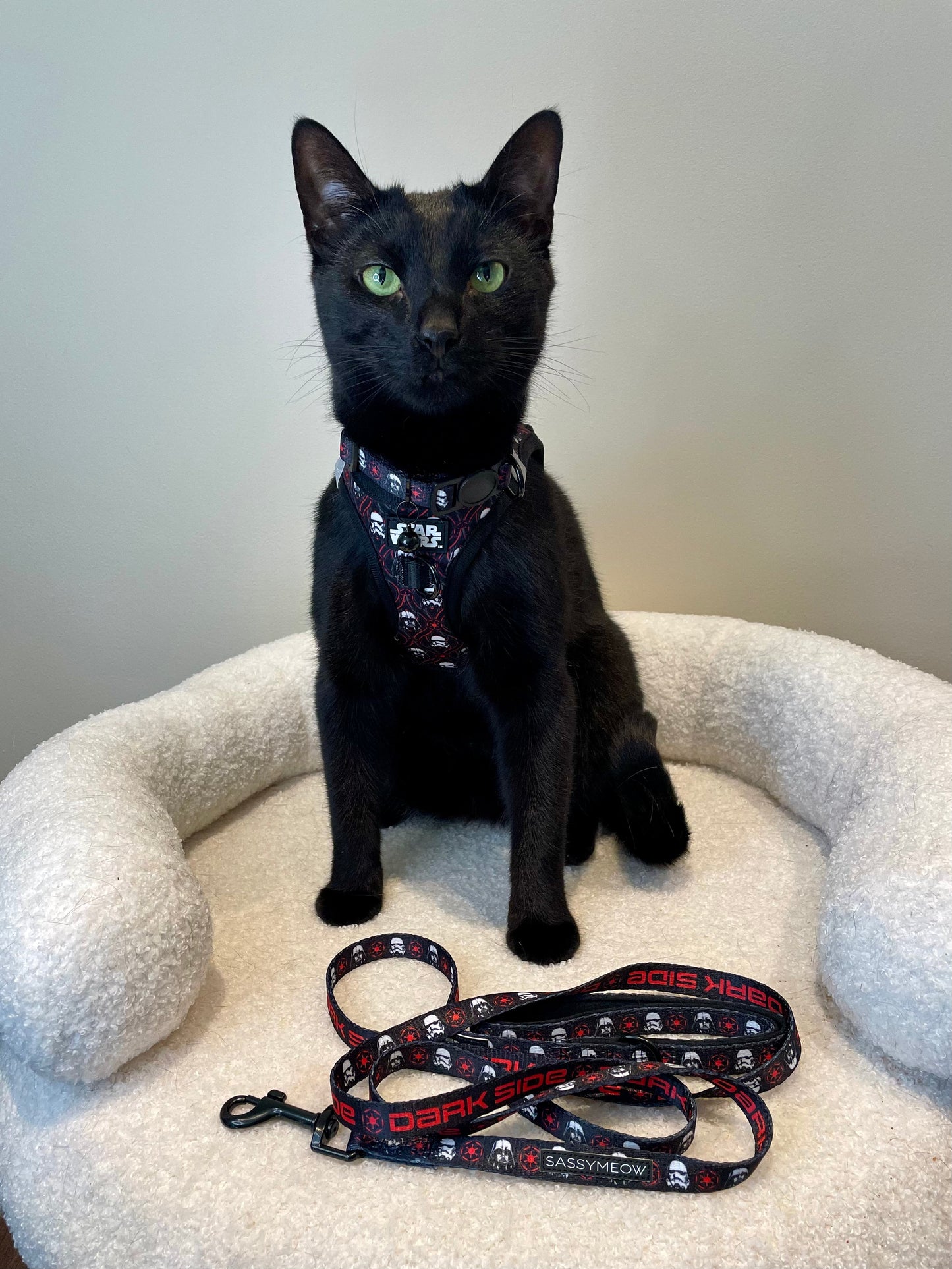 Cat Leash - STAR WARS™ The Dark Side