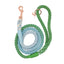 Dog Rope Leash - Minty