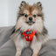 Dog Adjustable Harness - Disney Holiday Collection