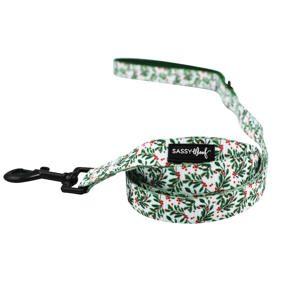 Dog Leash - Under The Mistletoe