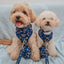 Dog Adjustable Harness - Peanuts™ Snoopy in Space