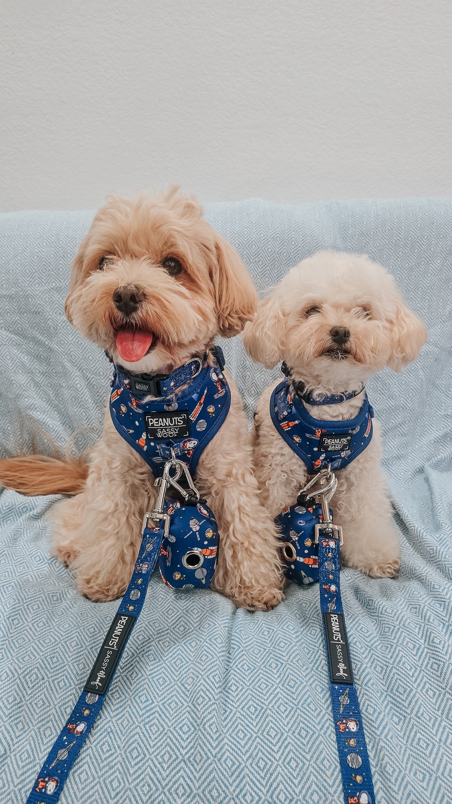 Dog Adjustable Harness - Peanuts™ Snoopy in Space