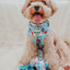 Dog Adjustable Harness - Hello Kitty® & Friends In the Sky