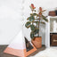'Wavey' Cardboard Cat Pyramid