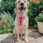 Dog Adjustable Harness - Mon Chérry