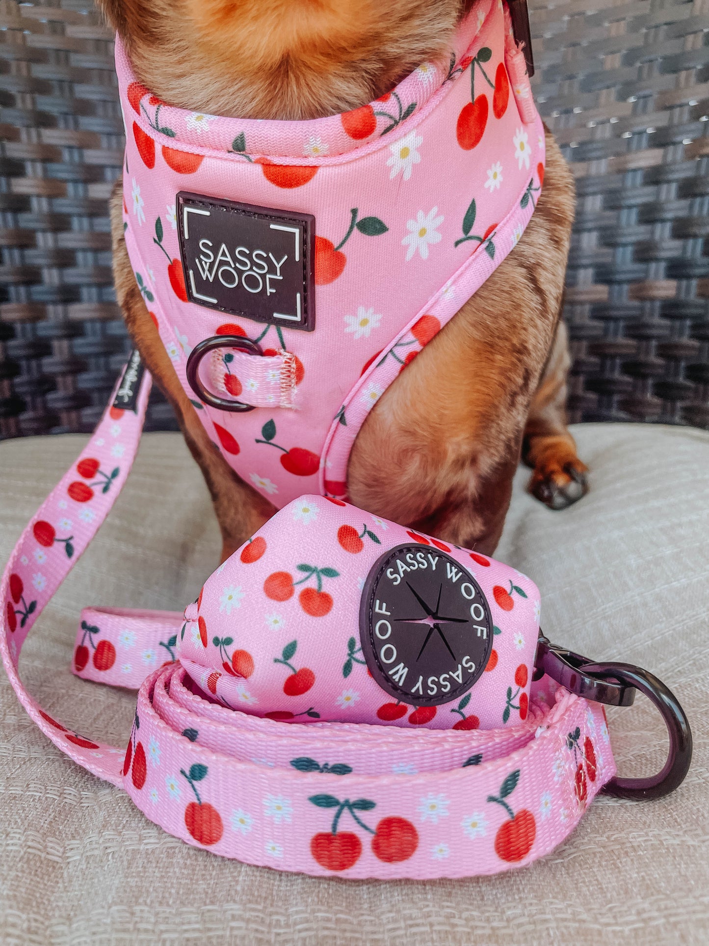Dog Adjustable Harness - Mon Chérry