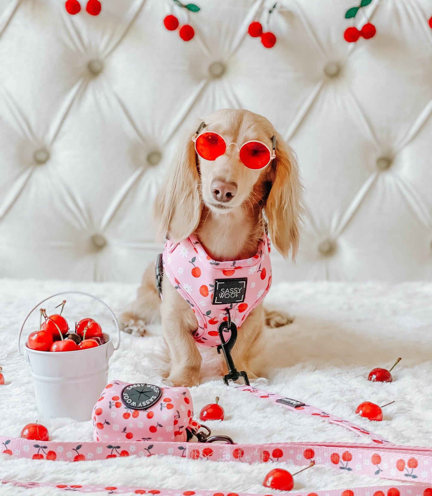 Dog Adjustable Harness - Mon Chérry