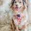 Dog Adjustable Harness - Mon Chérry