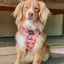 Dog Adjustable Harness - Mon Chérry