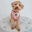 Dog Adjustable Harness - Mon Chérry