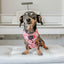 Dog Adjustable Harness - Mon Chérry