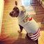 Monkey Hoodie Dog Sweater