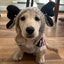Moosey Hoodie Dog Sweater