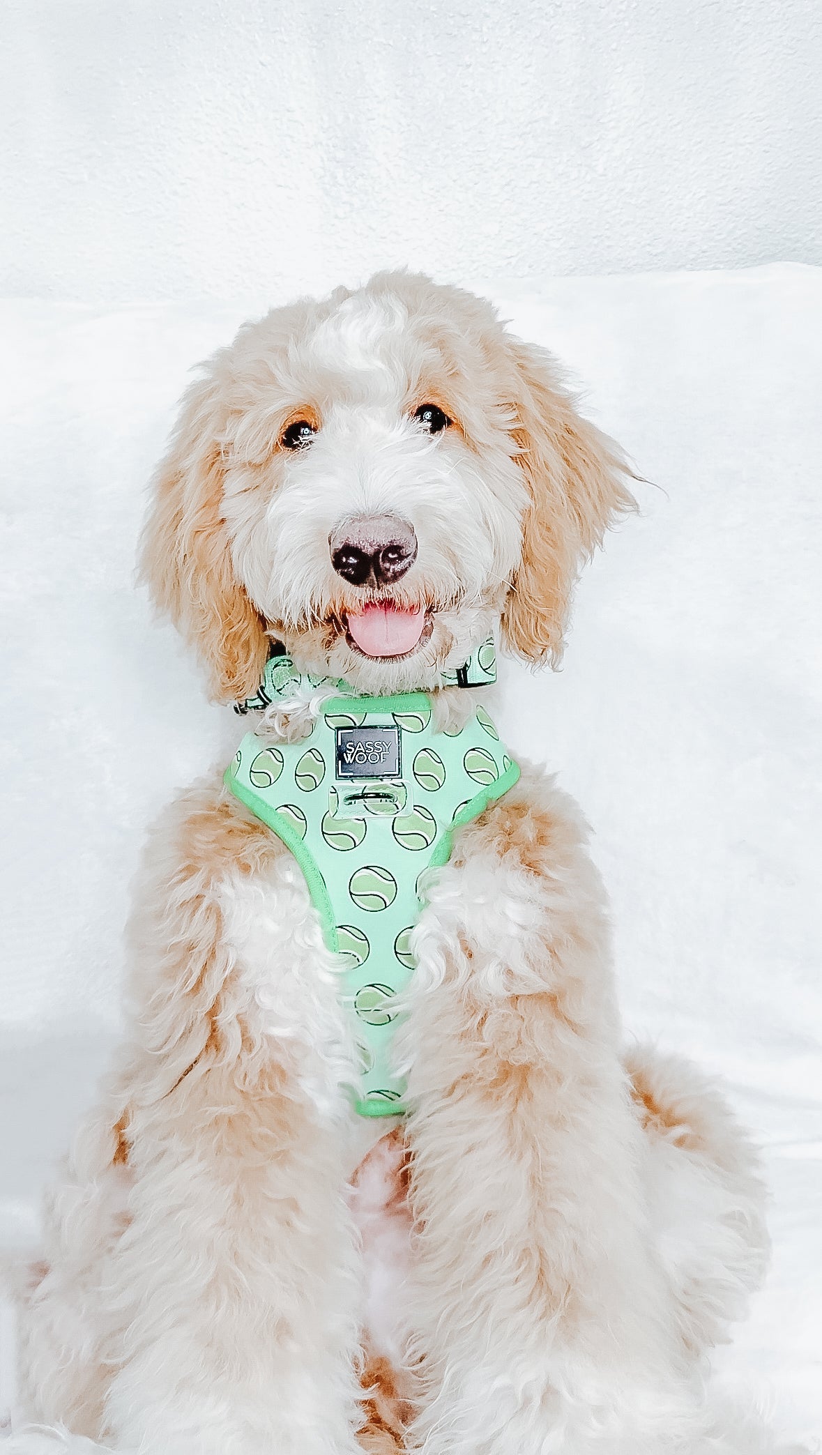 Dog Reversible Harness - Serving Up Sass